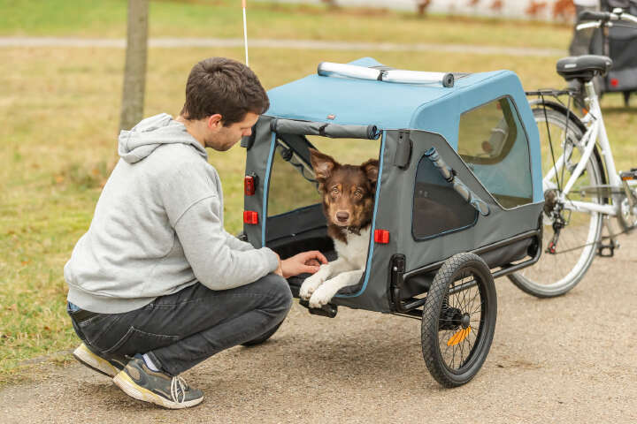 TRIXIE Fahrrad-Anhänger für Hunde